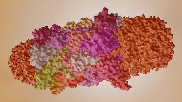 3d animation of proteasome; molecular machines for breaking down proteins called proteolysis
