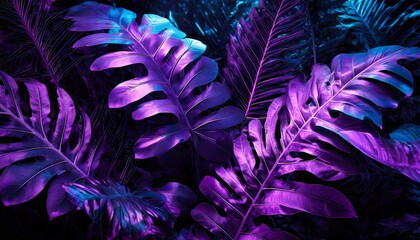 Tropical leaves, dark jungle background, color toned 