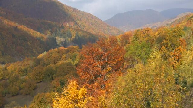 Golden autumn valley, timelapse