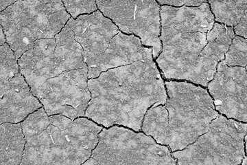 Wall texture soil dry crack pattern of drought lack of water of nature brown old broken background.