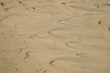 ripple marks in  in the sand beach due to natural repeating patterns in sand on the beach due to wave and stones  