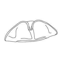 Fototapeta premium Hand drawn Kids drawing Cartoon Vector illustration tricorne hat Isolated on White Background