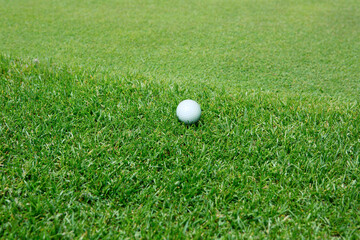 골프, 그린, 그린엣지, 골프공, 파온, 어프로치, 선택