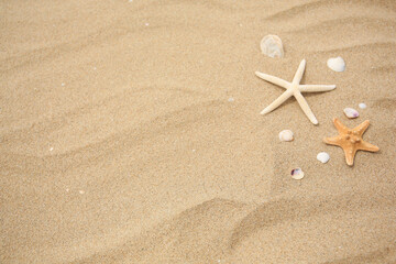 Fototapeta na wymiar Beautiful starfishes and seashells on sand, space for text