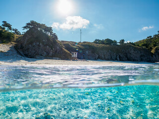 式根島の泊海水浴場の美しい海の半水面撮影。

東京都伊豆諸島式根島泊海水浴場にて。
2023年11月1日〜5日撮影。
水中写真。

A half-water shot of the beautiful ocean at Tomari Beach on Shikinejima.

At Tomari beach, Shikinejima, Izu Islands, Tokyo.
Photo Take
