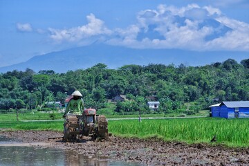 Indonesian farmers are now becoming more modern, plowing their fields using tractors to speed up land processing