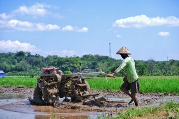 Obraz premium Indonesian farmers are now becoming more modern, plowing their fields using tractors to speed up land processing