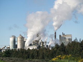 pulp and paper plant