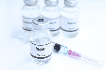 Rabies vaccine in a vial, immunization and treatment of infection