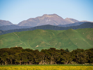 Mitre peak, Tararua ranges from SH2