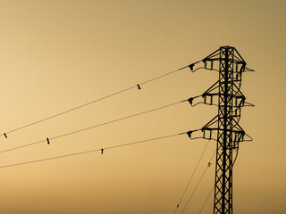 High voltage towers against sunset sky