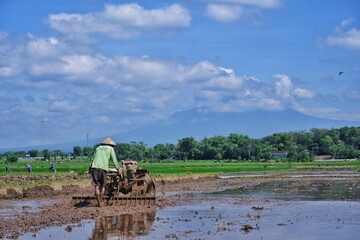 Fototapeta premium Indonesian farmers are now becoming more modern, plowing their fields using tractors to speed up land processing