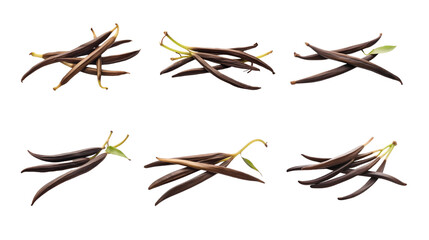 Collection of PNG. Vanilla pods isolated on a transparent background.