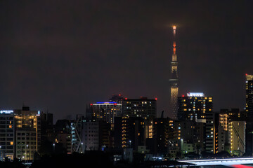 東京スカイツリー。
東京の夜景。

東海汽船東京湾〜伊豆諸島航路のさるびあ丸船上にて。
2023年11月1日〜5日撮影。
水中写真。

Tokyo Skytree.
Night view of Tokyo.

On board the ship Sarubia Maru on Tokai Kisen's Tokyo Bay to Izu Islands route.
Photo Taken Nov