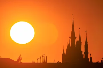 Fotobehang 美しい日の出の太陽と夢の国のお城のシルエットと鳥の群れ。  日本国東京都江戸川区葛西臨海公園にて。 2023年11月19日撮影。  Beautiful rising sun, silhouettes of dreamland castles and flocks of birds.  At Kasai rinkai park, Edogawa-ku, Tokyo, Japan, photo by  © d3_plus