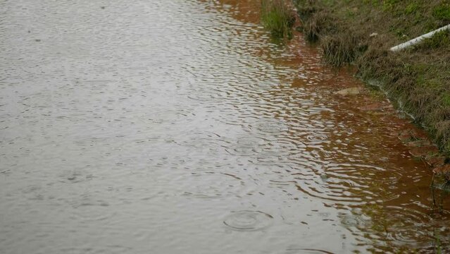 (V-Log) Pouring Rain Drops on Swamp Pond Water near Land Pier River Lake
