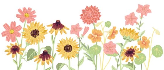 Gordijnen vector drawing flowers at white background, hand drawn botanical illustration, floral border © cat_arch_angel
