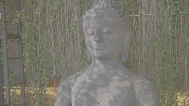 (V-LOG) Stone Buddha Statue Head Medium Shot Under A Tree Shade