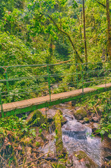 Portrait landscape of a green suspension bridges hanging in the rain forest over a river