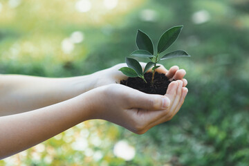 Promoting eco awareness on reforestation and long-term environmental sustainability with boy...