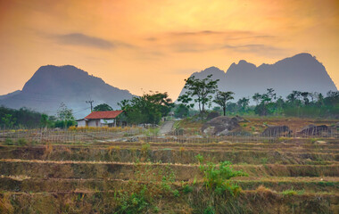 Rural view with mountains surrounded by rice fields. Cows graze in the countryside. Beautiful view...
