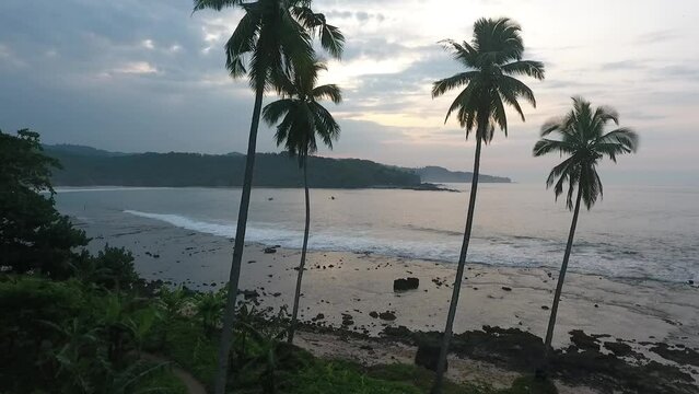 Aerial Footage Drone Flying Crab Right from Coconut Palm Trees at The Wavy Beach Shore at Karang Taraje Sawarna, Tangerang, Banten, Indonesia early morning Sunrise
