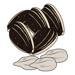 Whole and peeled sunflower seeds. Drawing of sunflowers seeds on white background, delicious healthy vegan snack