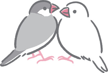 向かい合う文鳥