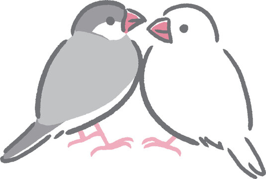 向かい合う文鳥