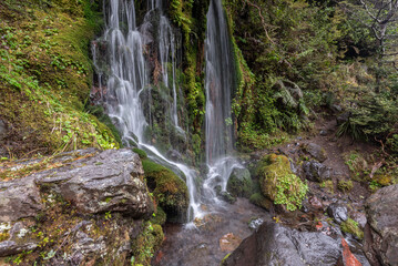The foot of a small waterfall coming down the moss-covered rock wall of a gorge. Tongariro National...