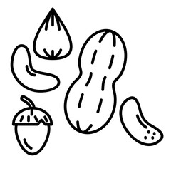 Nuts Icon