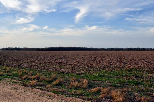 field ready for planting