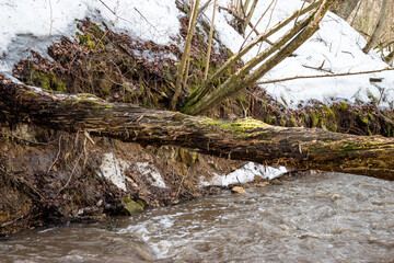 Spring meltwater in the stream washing away the coastal slope