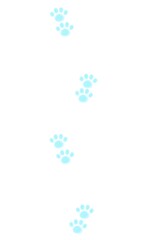 リアルな雪の上の猫の足跡