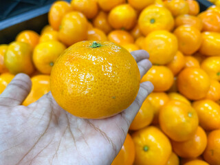 fresh orange fruits on asian women hand
