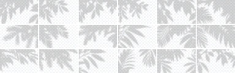 Set from 18 shadows. Overlay shadow from tropical plants. High quality shadows. Vector illustration Ai and Eps file.