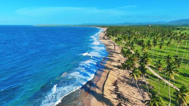 View of the amazing palm beach in Bali. Luxury tourism concept for resort. A perfect beach scene, palm trees, blue sky and calm sea water with soft waves. Exotic summer vacation. Paradise Island.