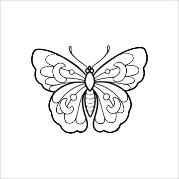 vector illustration of moth outline