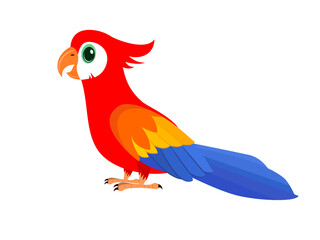 Fototapeta premium Parrot on a white background.