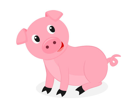 Cute little pig on a white background.