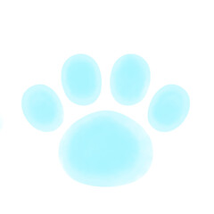 雪の上の猫の足跡