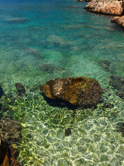 coral reef in the sea