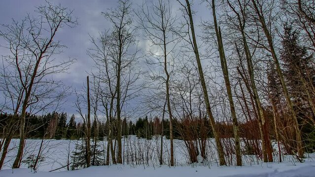 Time-lapse of low sun in winter in the forest between clouds, day to night transition