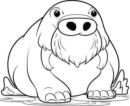 Walrus animal coloring page, vector stock image