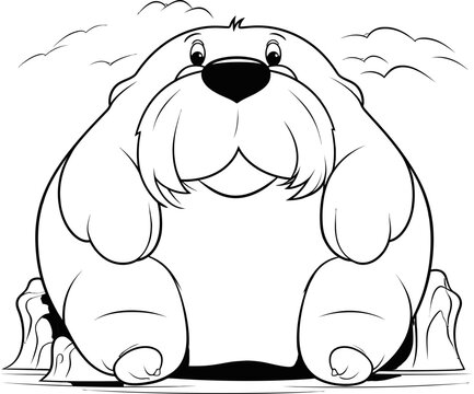 Walrus animal coloring page, vector stock image