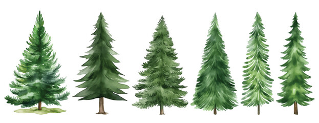 Watercolor Christmas Spruce and Pine Tree Illustration - obrazy, fototapety, plakaty