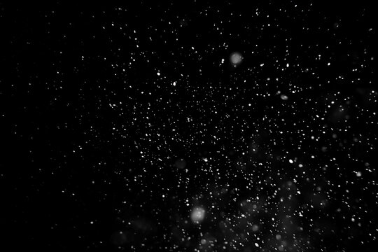 Falling snow isolated on black background