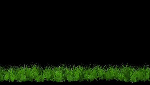 Green grass field motion graphics with plain black background