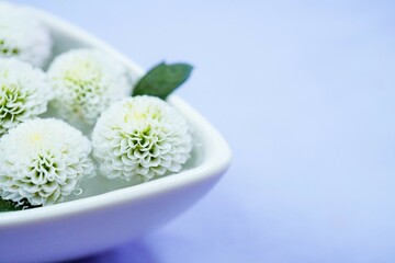 薄い青背景に船型の器に入った水に浮かべられた白いピンポンマムという菊の花、法事イメージ