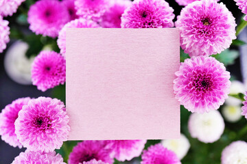 黒背景に白とピンク色の丸い菊の花に囲まれた秋イメージのメッセージカードのモックアップ